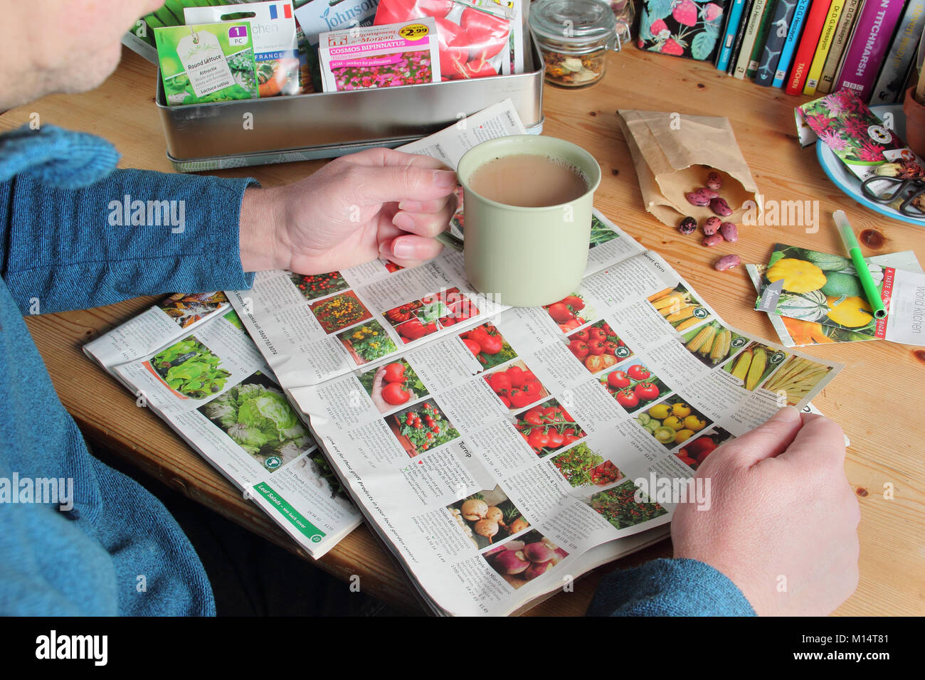 Male gardener prepares to order seeds from gardening  catalogues in winter (January), in preparation for the new planting season, UK Stock Photo