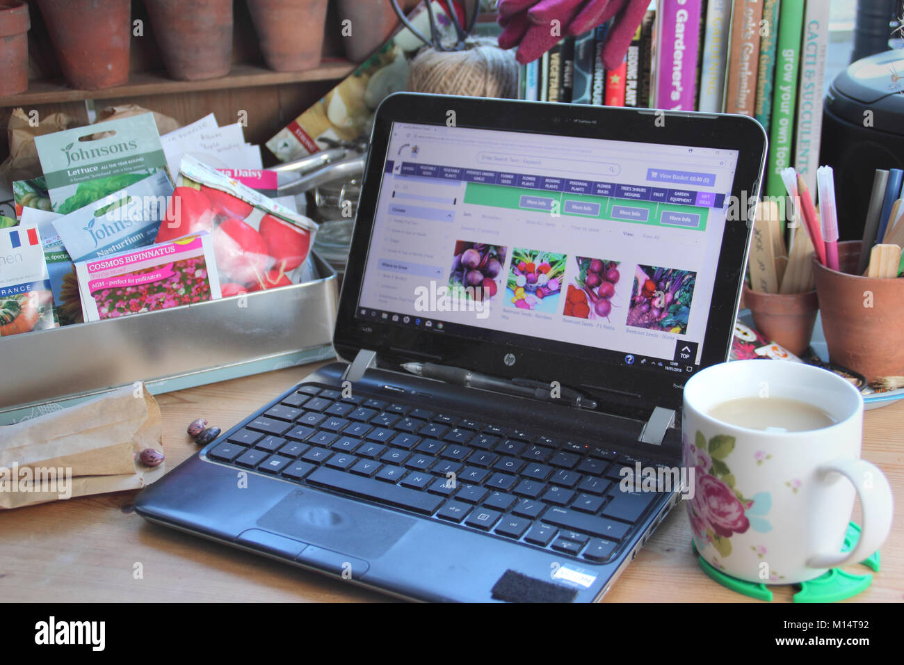 Organising seed packets and ordering seeds online in preparation for the new planting season, in an English garden room in winter (January), UK Stock Photo