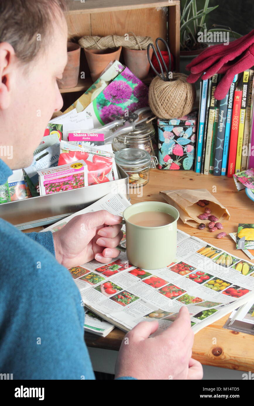 Male gardener prepares to order seeds from gardening  catalogues in winter (January), in preparation for the new planting season, UK Stock Photo