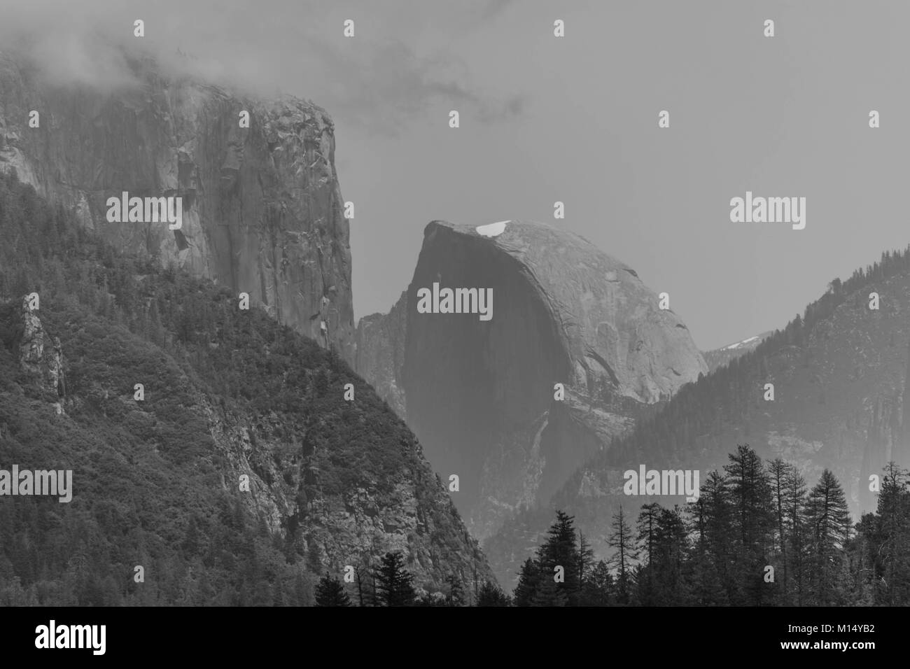 Black and white shot of half dome with a spot of snow at the top, surrounding mountains, with pine trees in the foreground, in Yosemite National Park Stock Photo