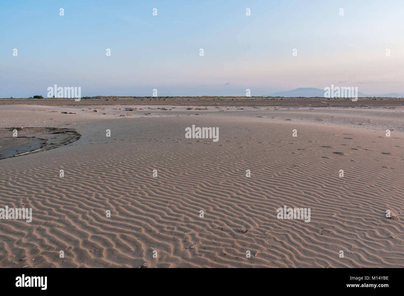 little dunes, sand on the beach, Ebro delta, Tarragona, Catalonia, Spain Stock Photo