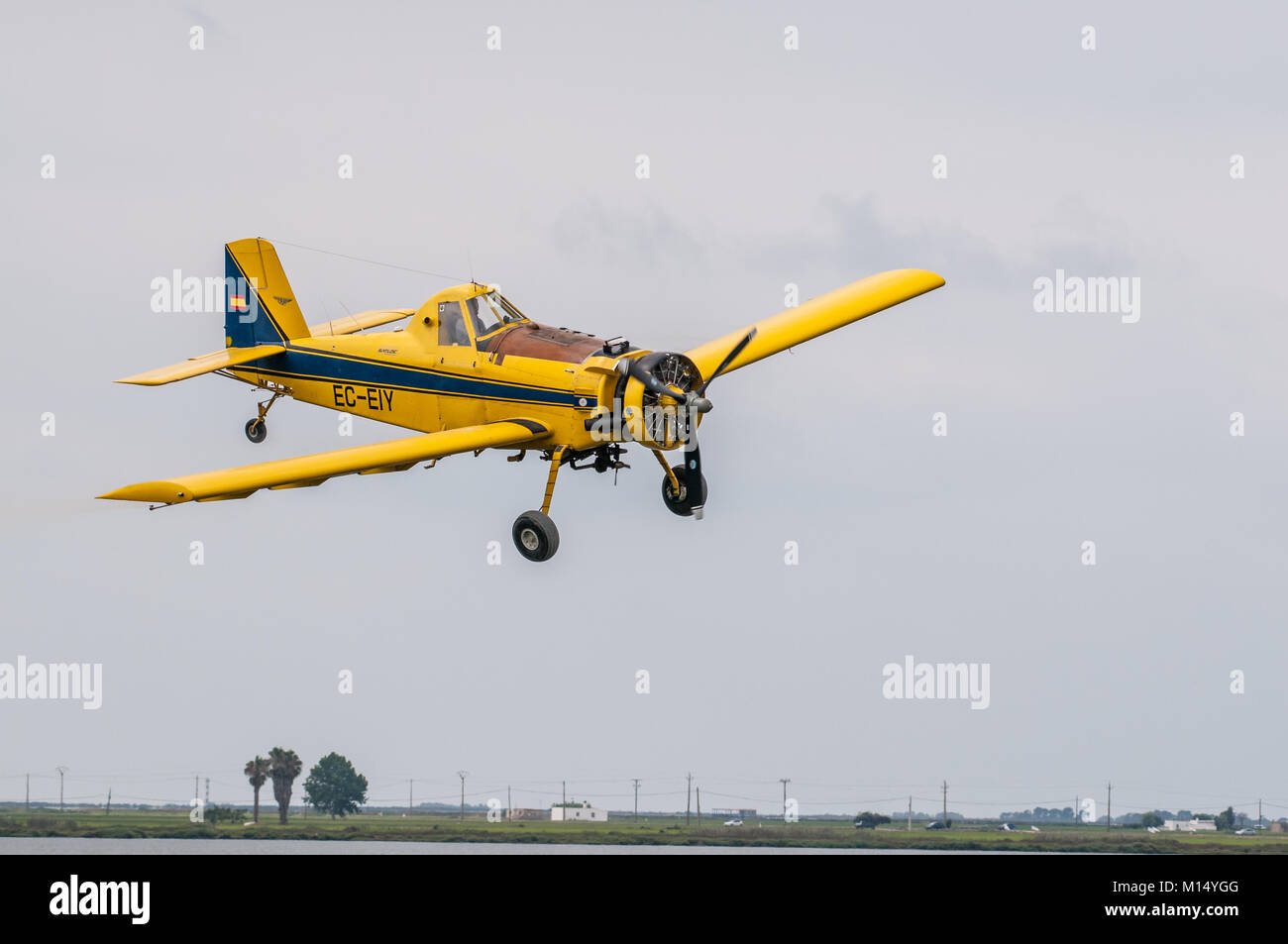 yellow plane (Air Tractor AT-501) used to fumigate, for the plague of the apple snail (pomacea insularum), Ebro Delta, Tarragona, Catalonia, Spain Stock Photo