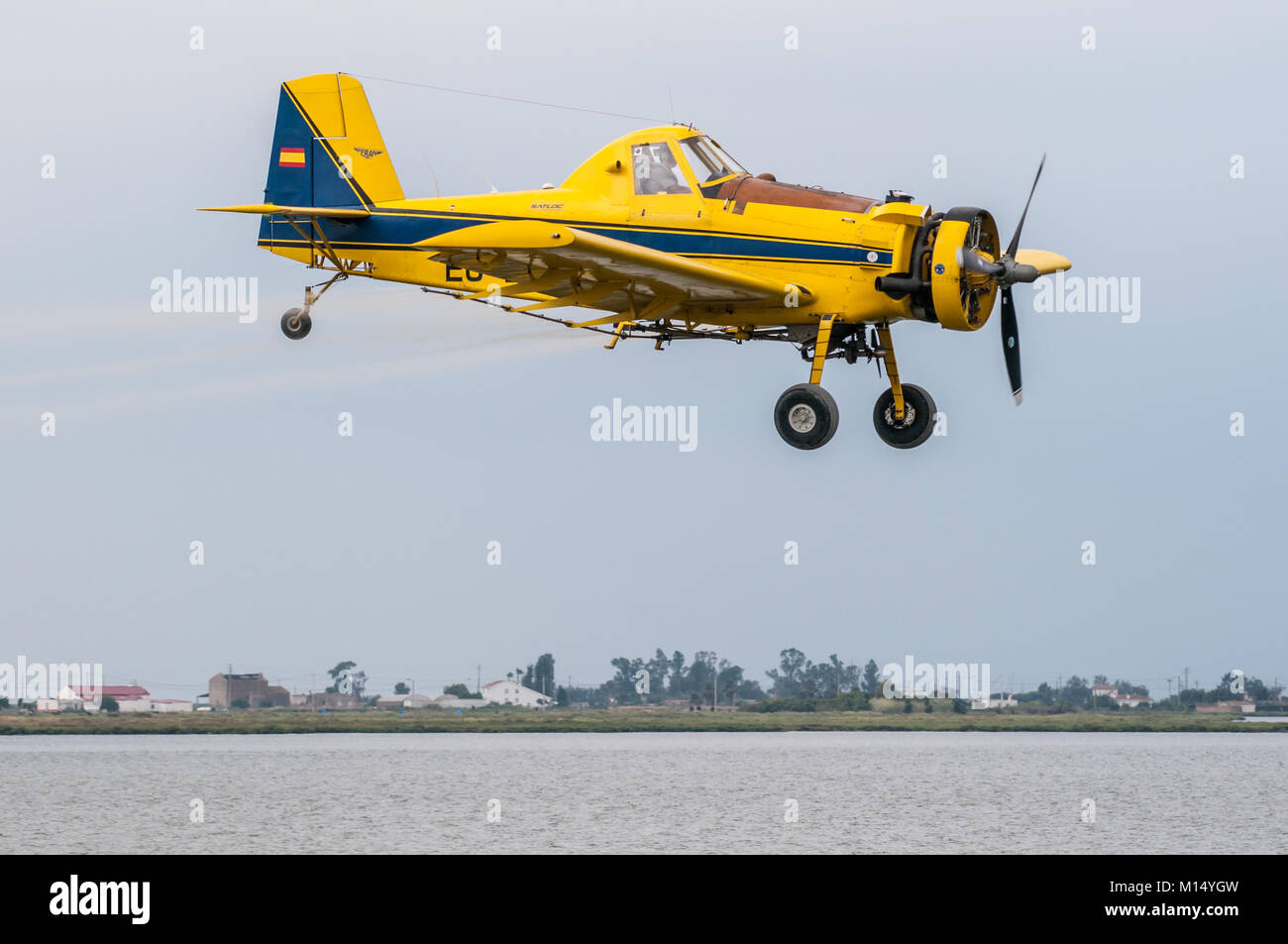 yellow plane (Air Tractor AT-501) used to fumigate, for the plague of the apple snail (pomacea insularum), Ebro Delta, Tarragona, Catalonia, Spain Stock Photo