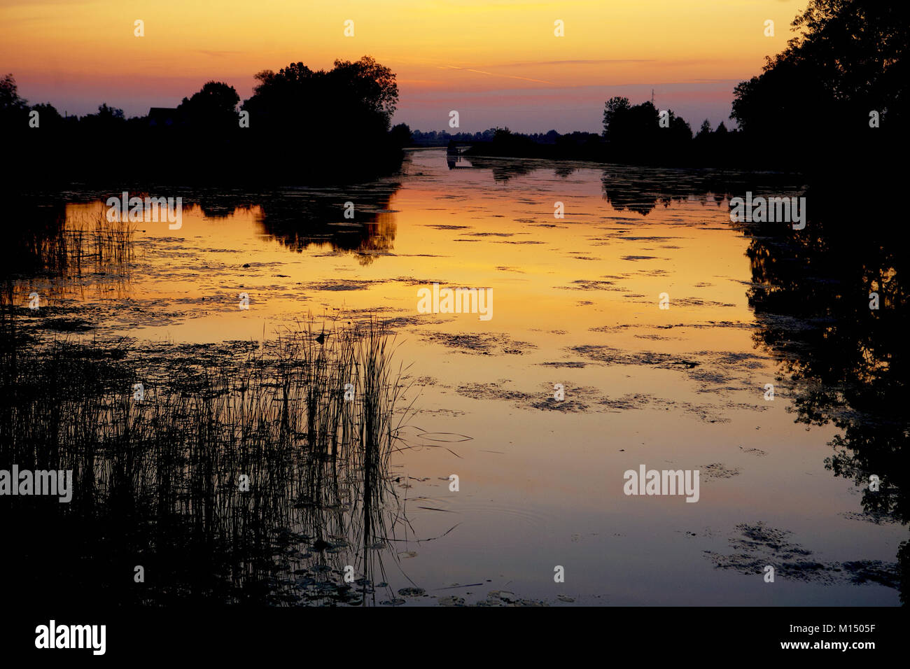 Poland, River Szprotawa, in sunset Stock Photo