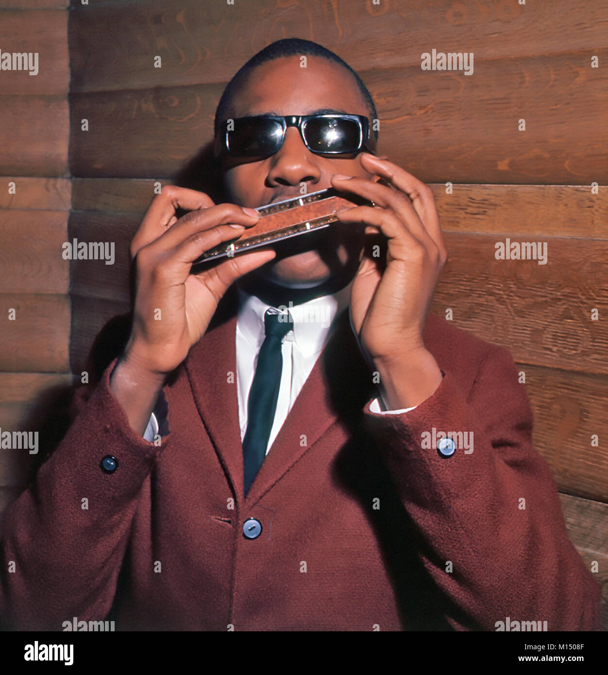 Stevie Wonder Harmonica