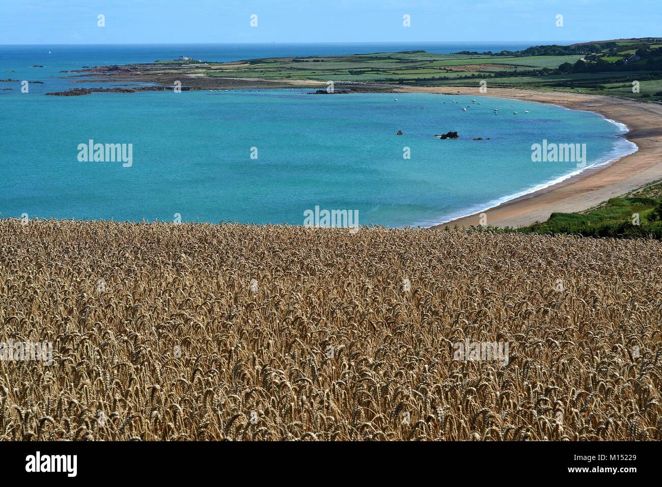 France, Manche, Cotentin peninsula Stock Photo Alamy