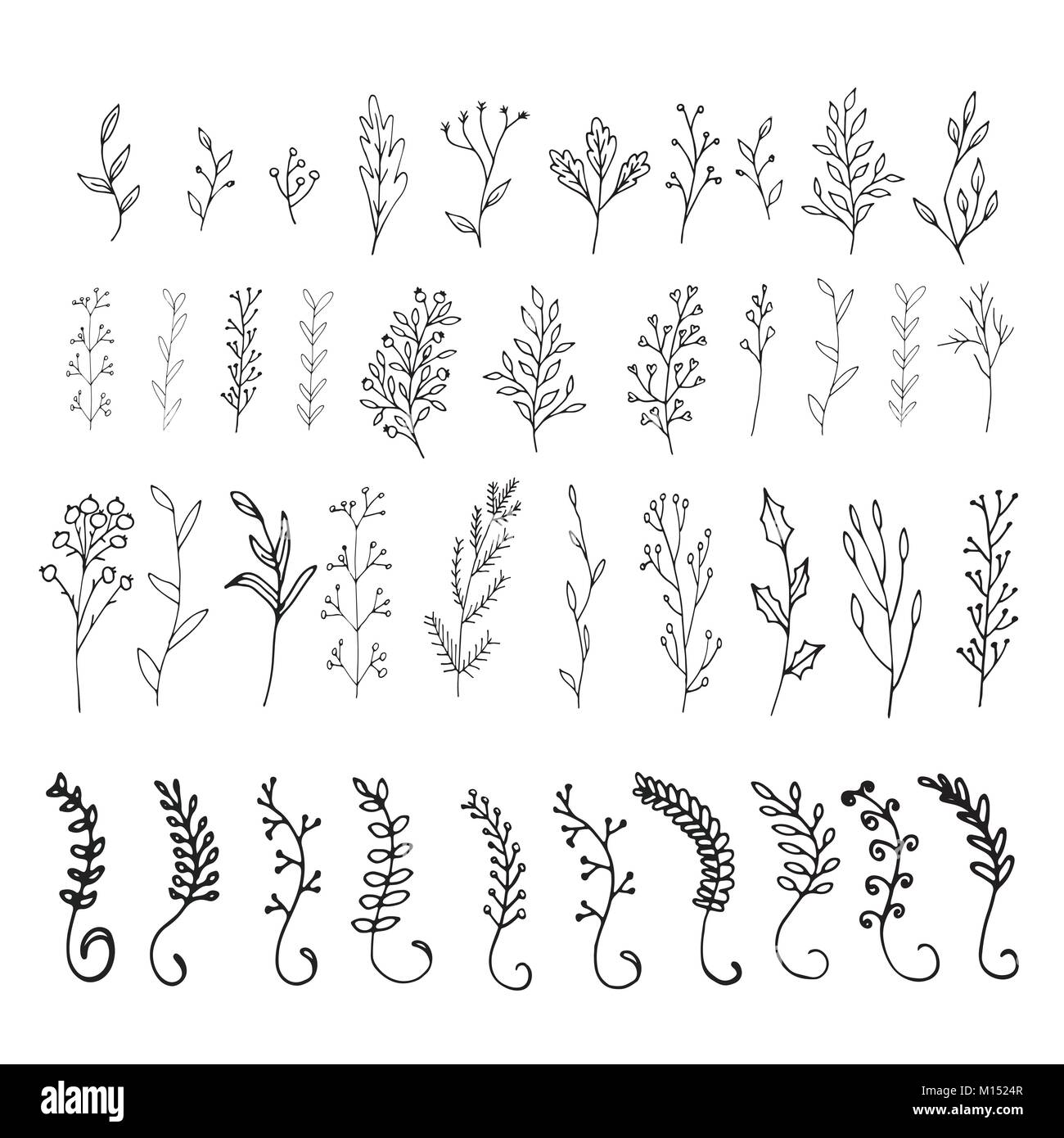 Collection of hand drawn vector florals and branches with leaves, flowers, berries. Modern sketch collection. Decorative elements for design. Ink, vin Stock Vector