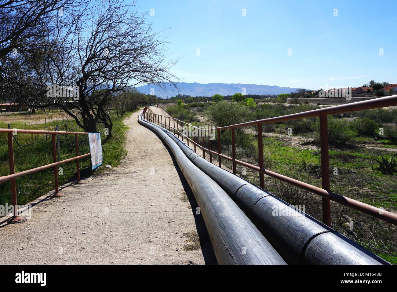 Aboveground water lines run along a dirt trail near leafless trees and