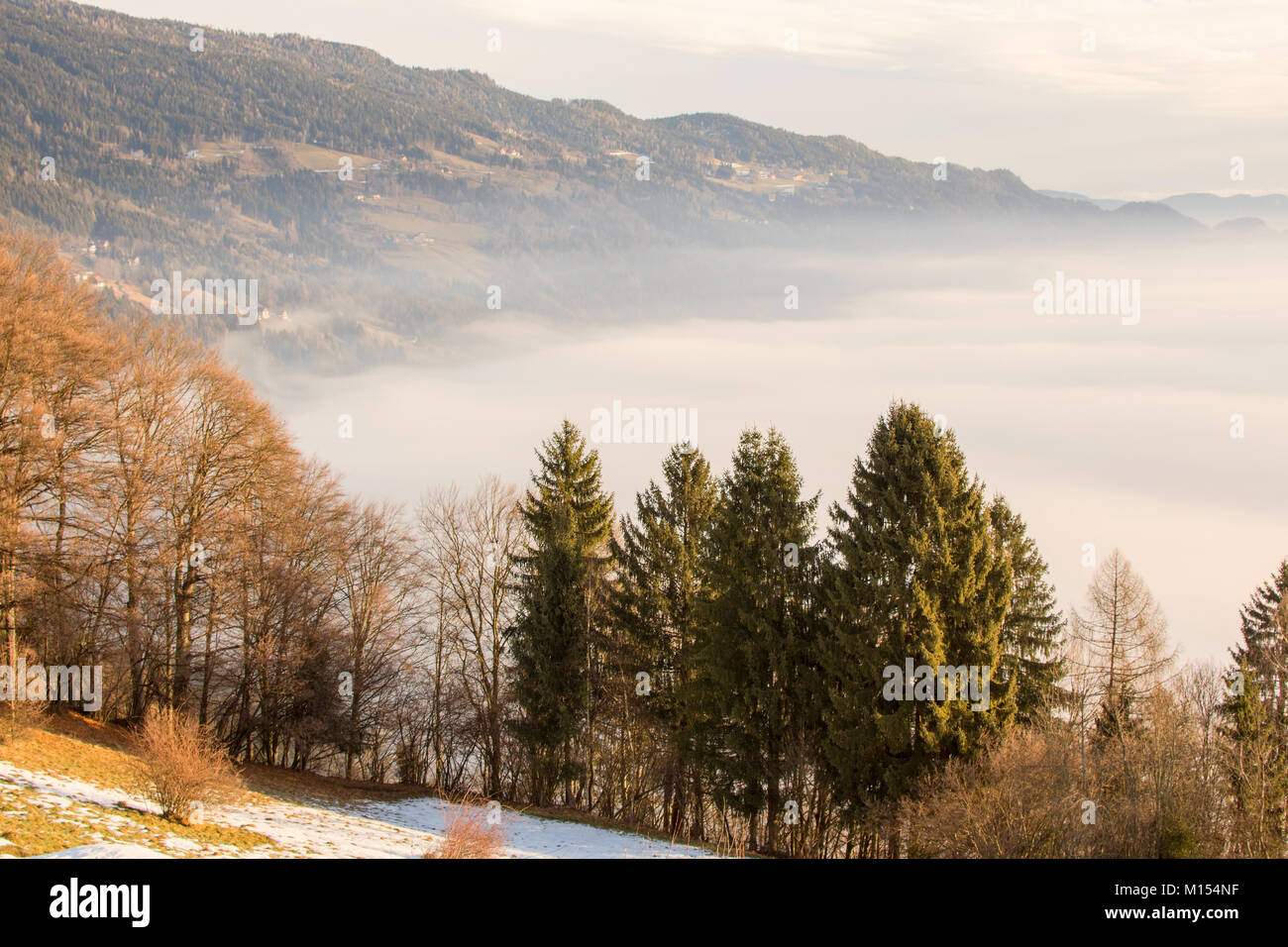 Landscape Morning View With Waves of Fog Over the Mountain and Trees ...