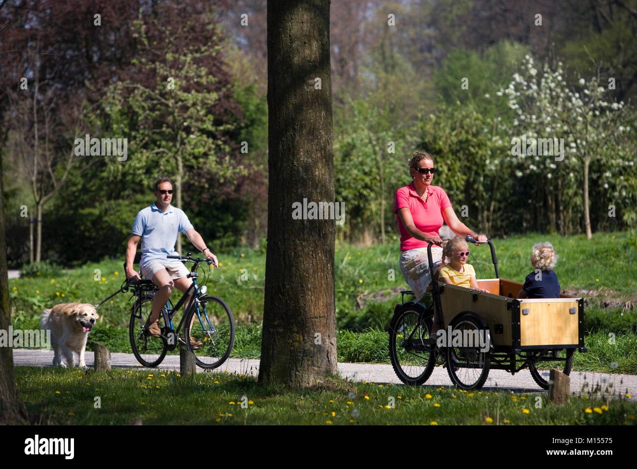 The Netherlands, 's-Graveland. Mother and 2 children on adapted bicycle. Father and Golden Retriever dog. Stock Photo