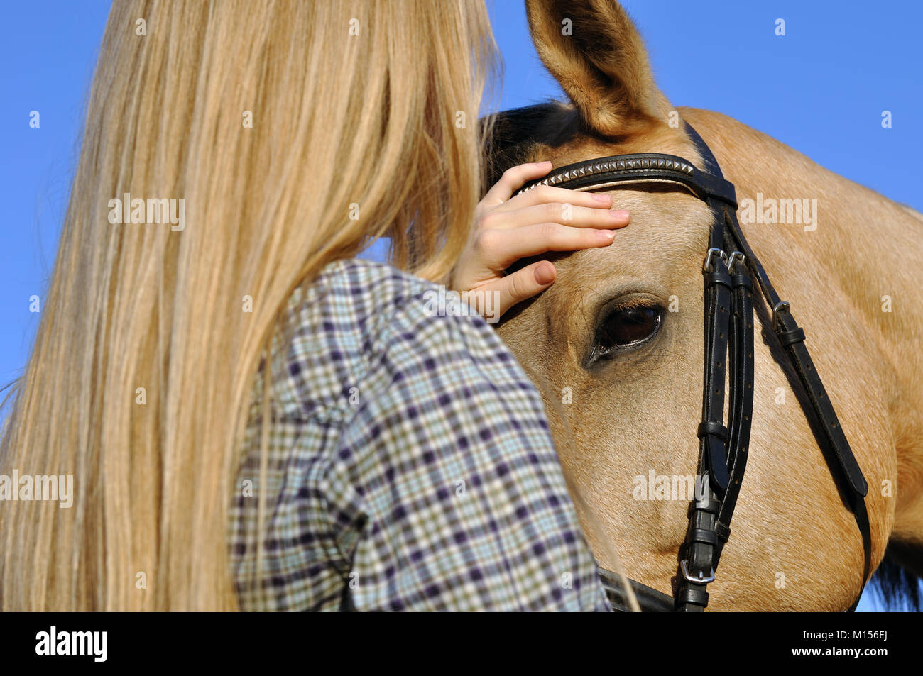 portrait of teenage girl and horse, selective focus on animal head Stock Photo