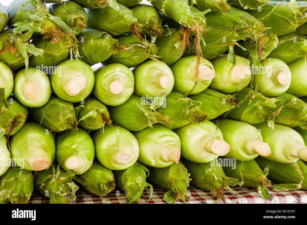 Ears of sweet corn on display for sale at the farmers market Stock Photo