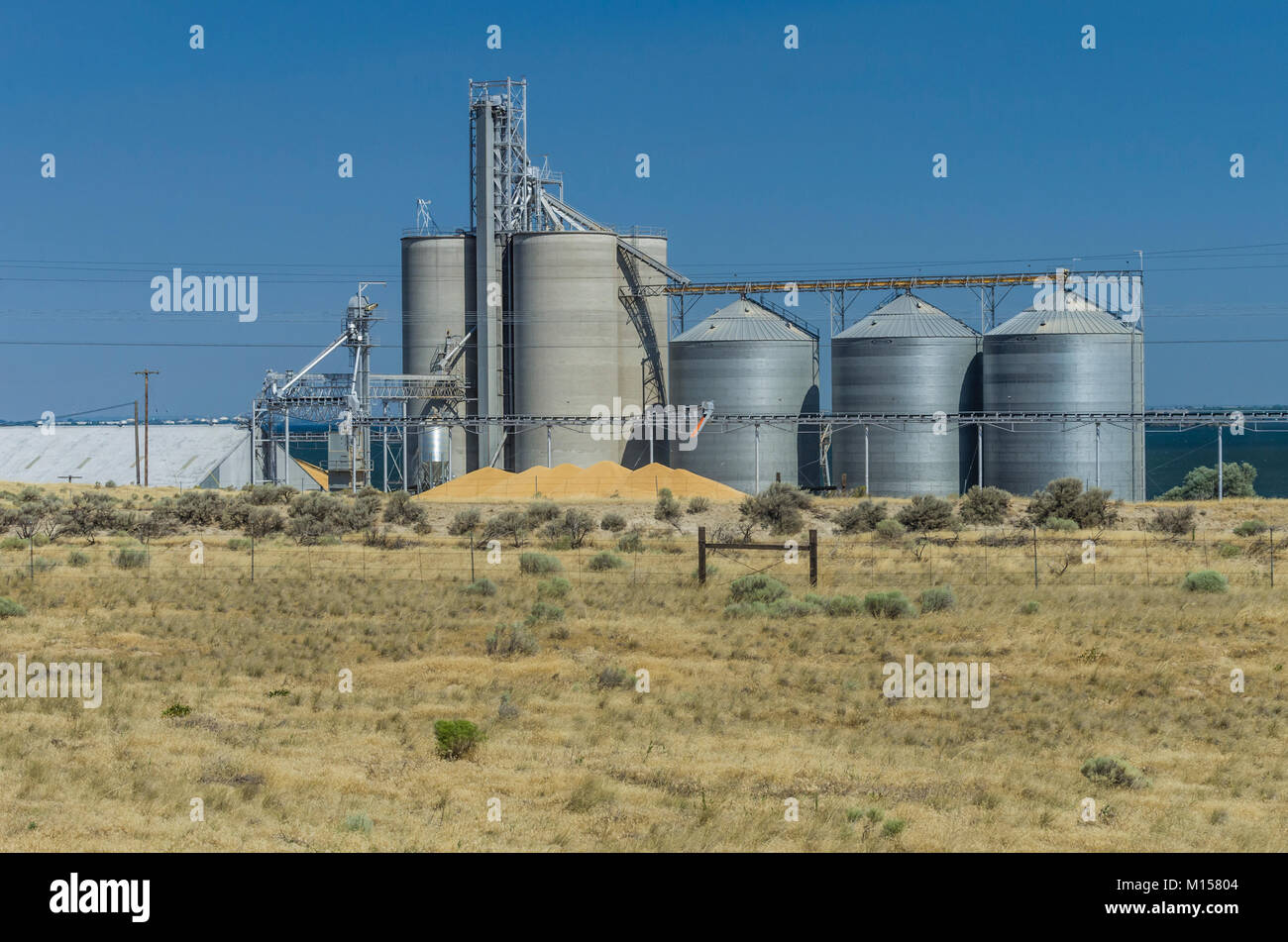 Grain storage and loading facility with silos and conveyors Stock Photo ...