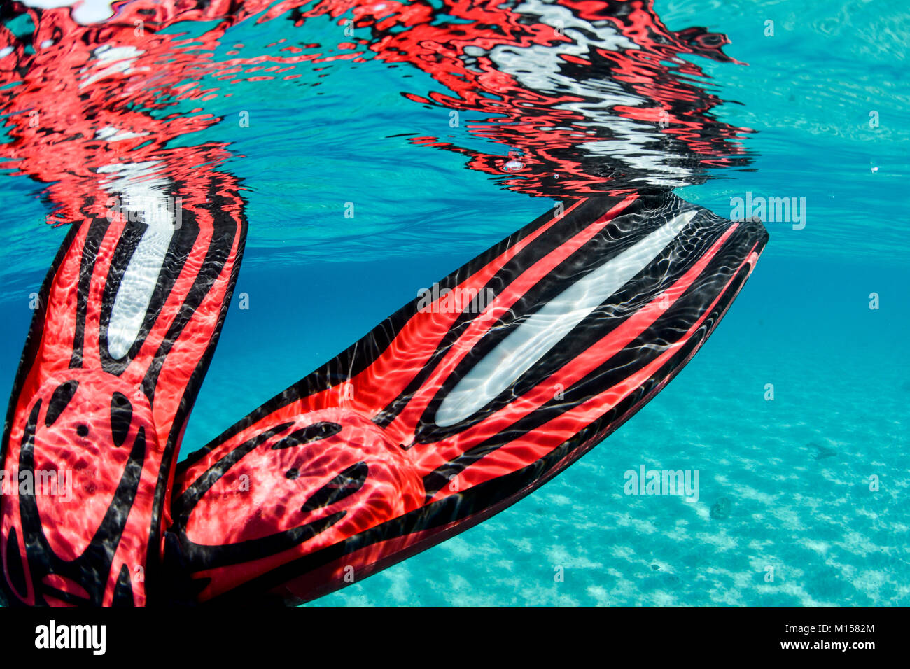 Red scuba dive fins underwater Stock Photo