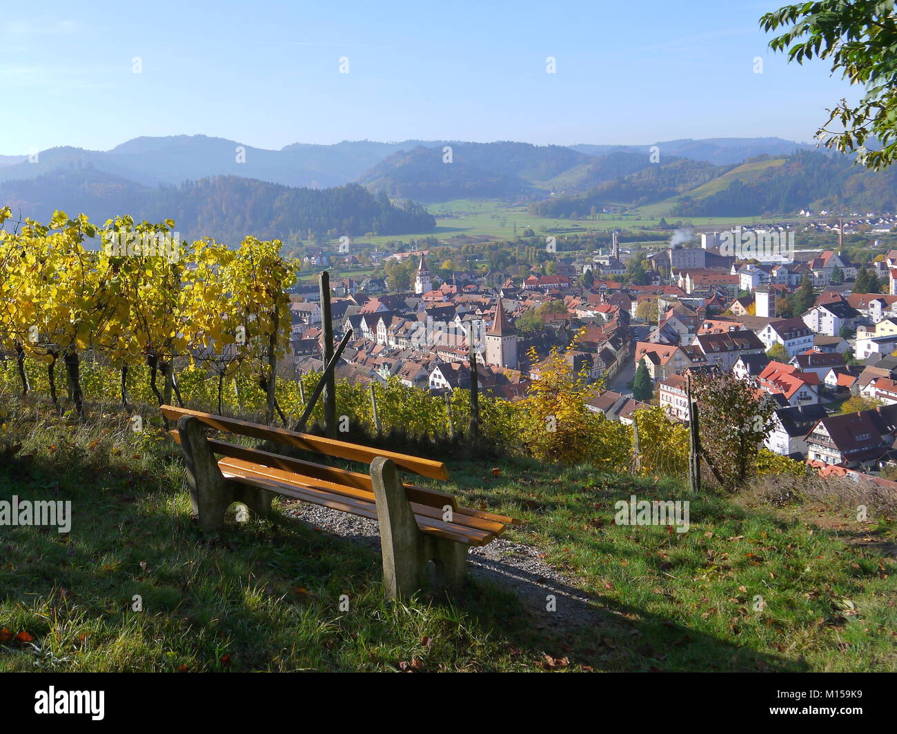 Beautiful and romantic Autumn view of Gengenbach in the Black Forest area from the top of the hill with view of the old town, bench, vineyards Stock Photo