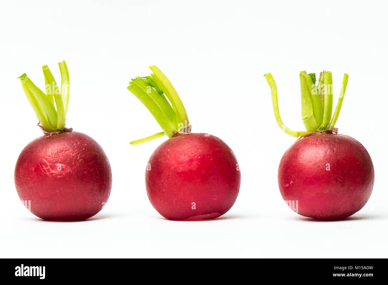 Three red radishes on white background Stock Photo Alamy