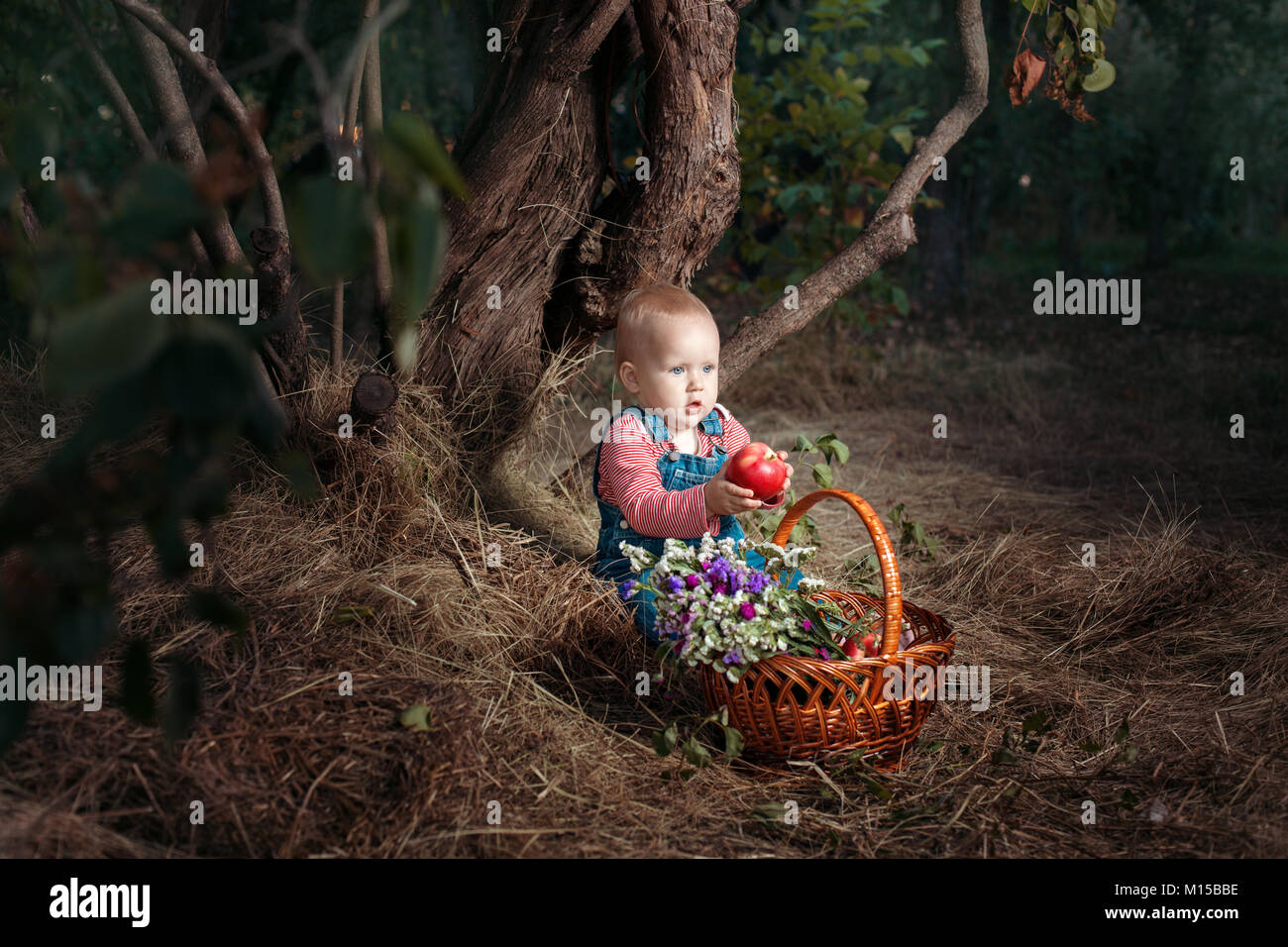 Cute little girl sitting under a tree. She is holding an apple Stock Photo