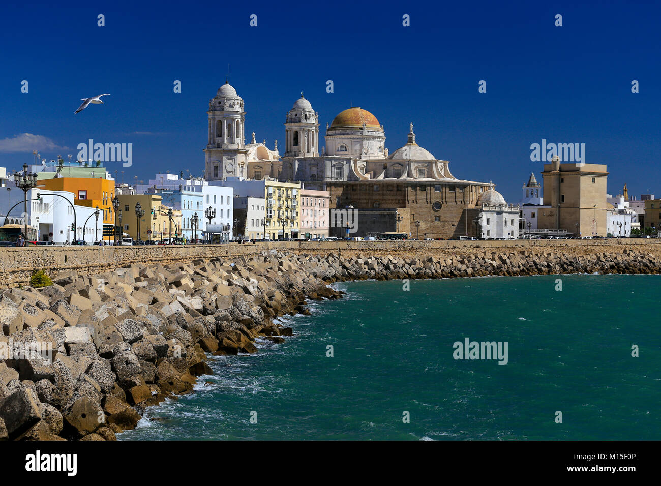 Cadiz Cathedral and city houses viewed along waterfront and sea wall, deep blue sky - with added seagull! Stock Photo