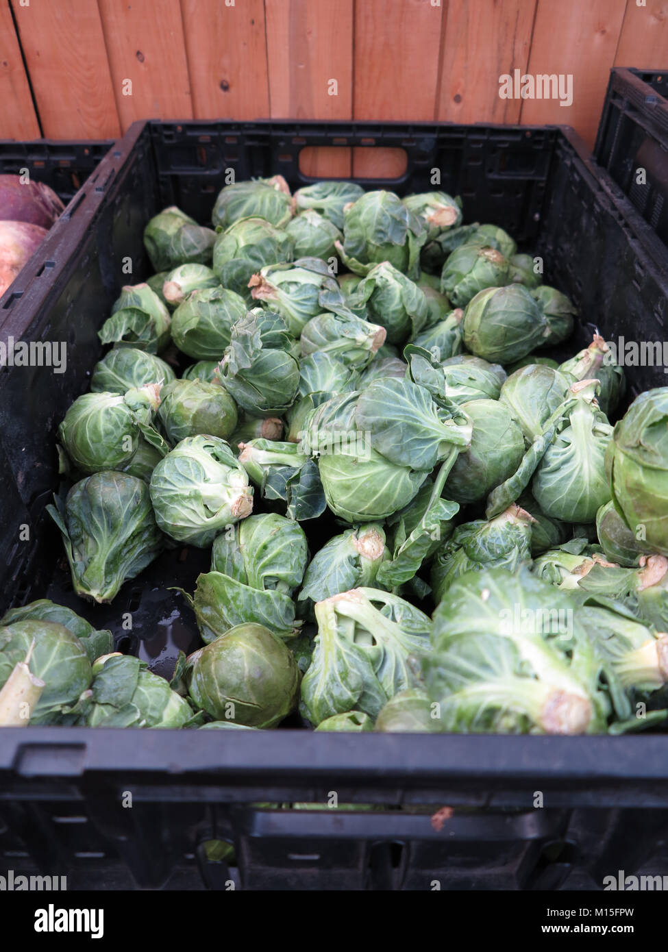 Brussel Sprouts in Basket at Farmer's Market Stock Photo Alamy