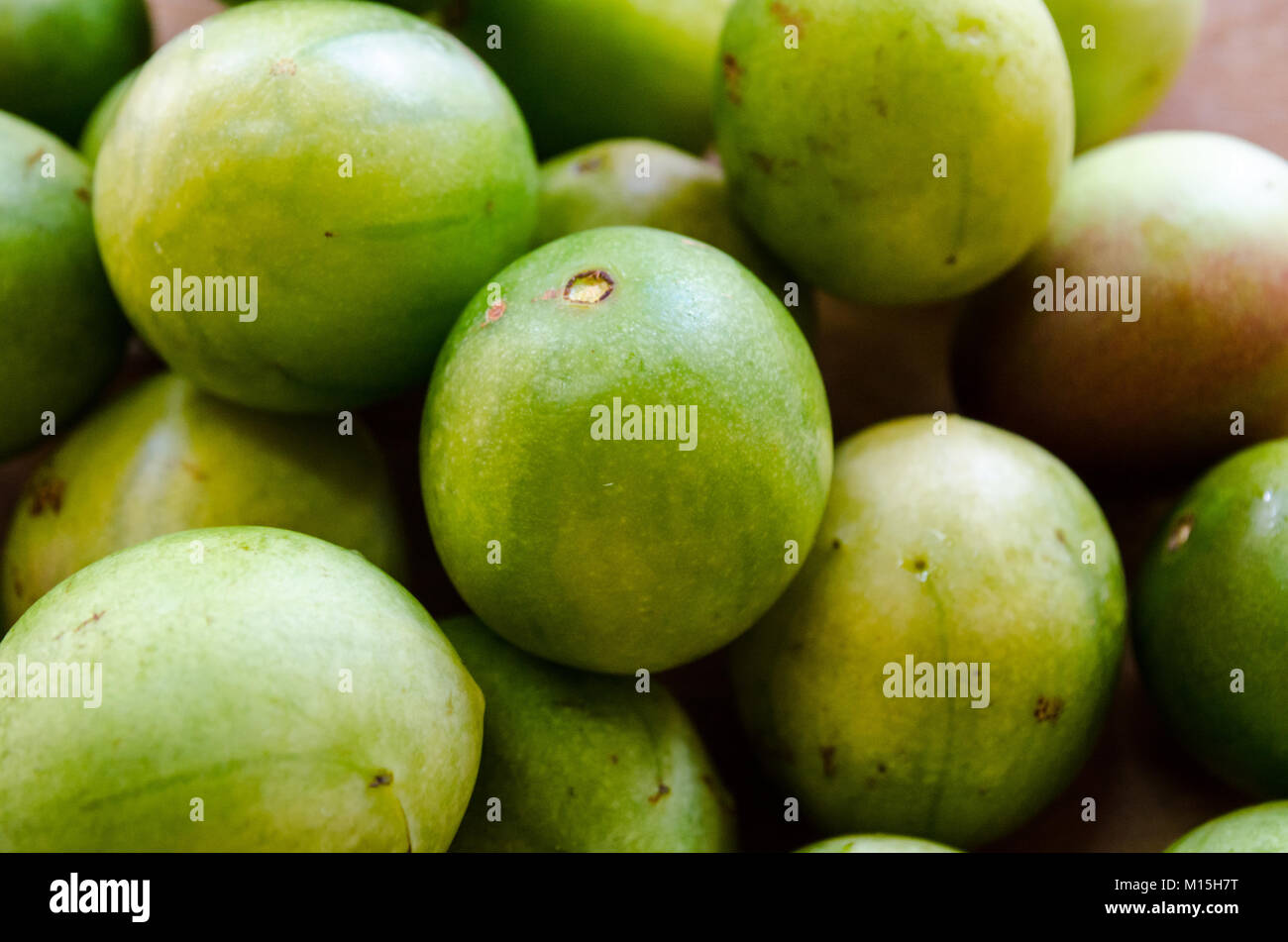 Spondias tuberosa - Brazilian seasonal fruit called Umbu or Imbu. Brazil plum. Regional fruit Stock Photo