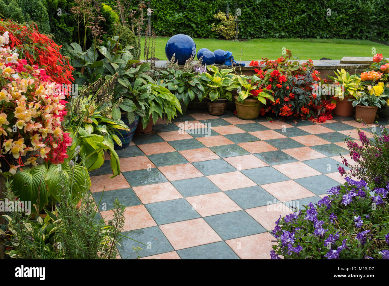 A patio with colourful plants in pots Stock Photo Alamy