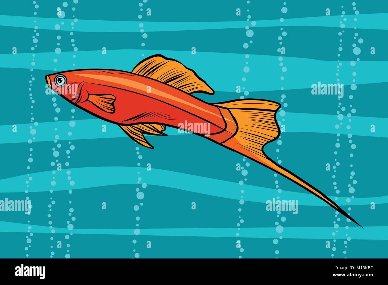swordtail aquarium fish Stock Vector
