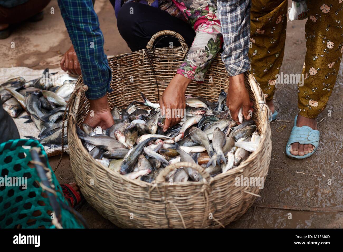 Panier de marché hires stock photography and images Alamy