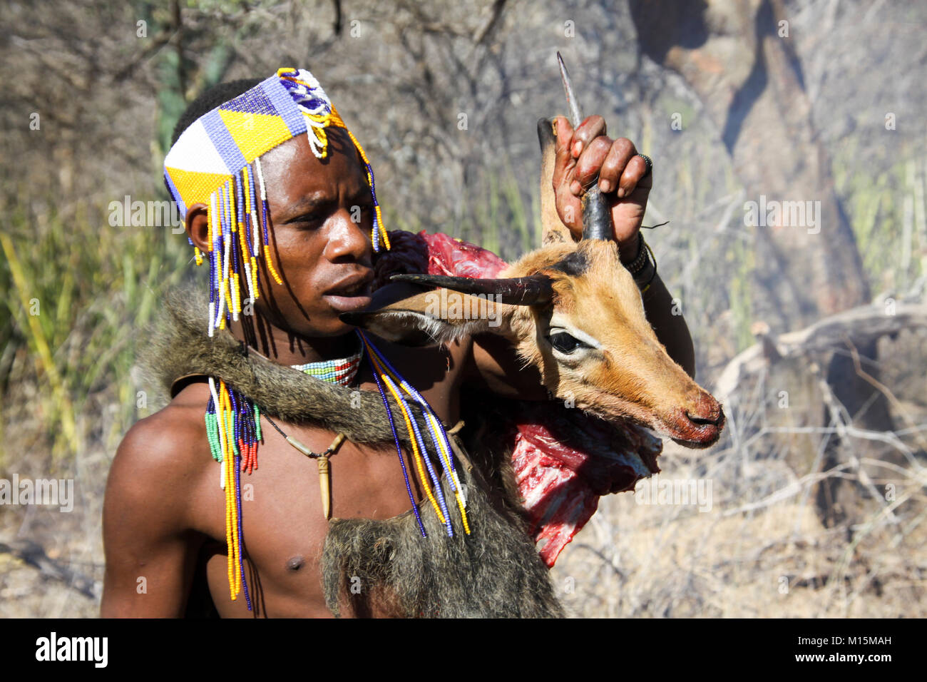 Hadza food hi-res stock photography and images - Alamy