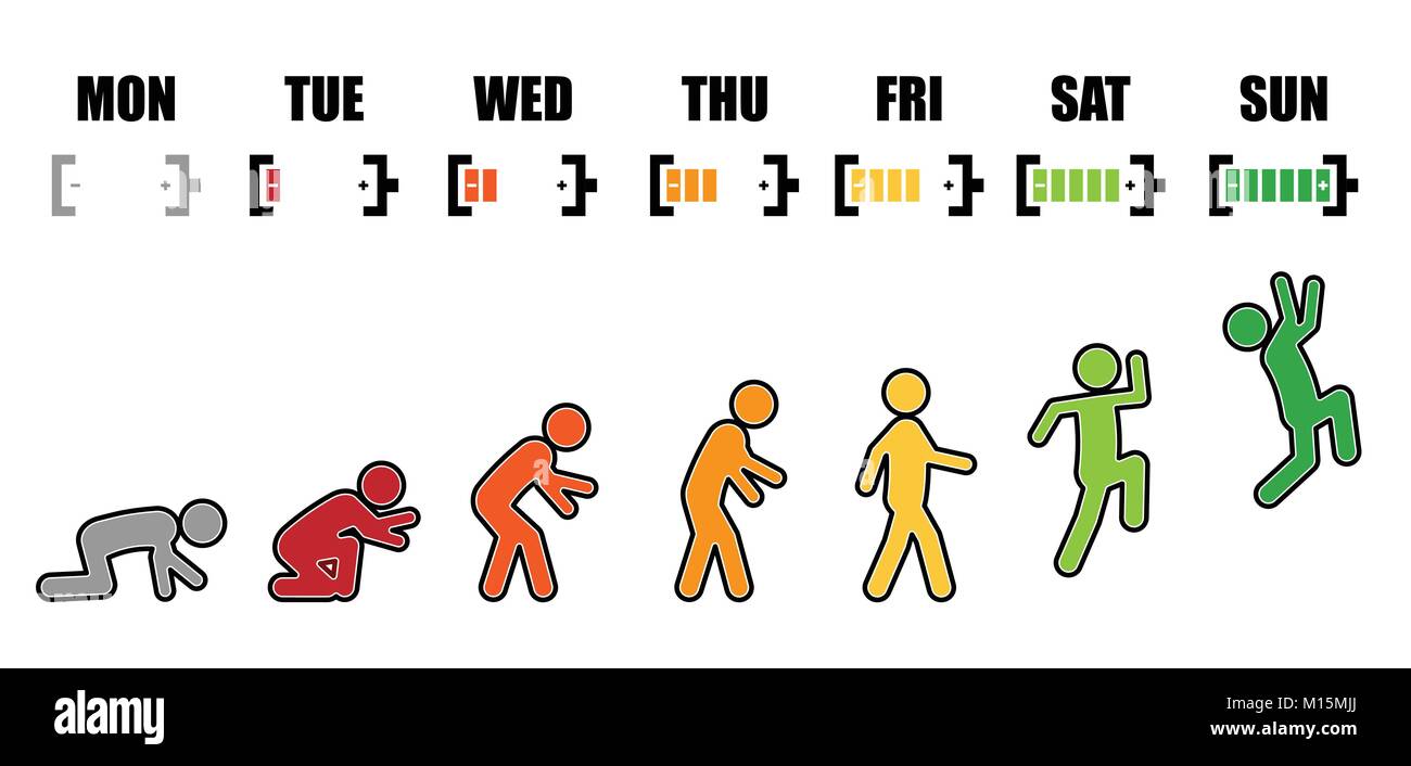 evolution cycle
