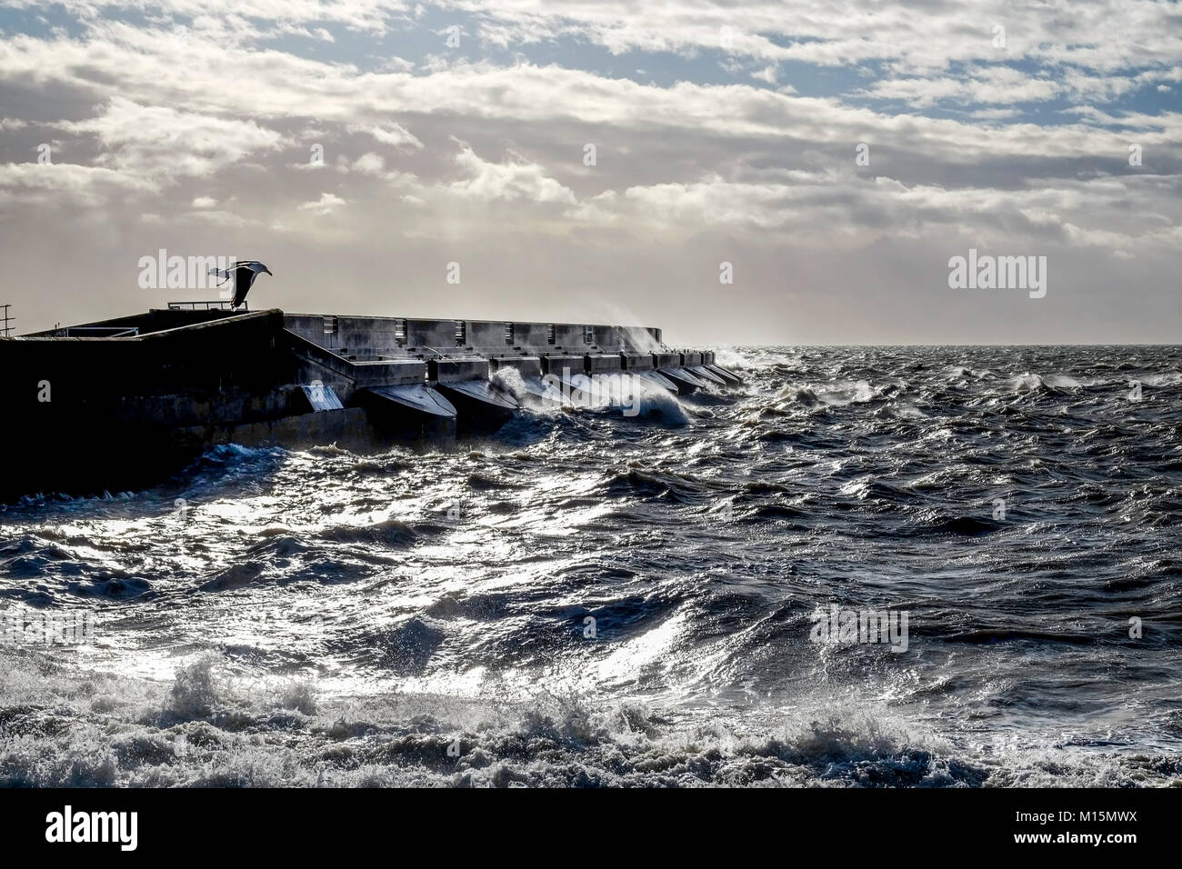 Dramatic stormy sea breaking against brighton marina black harbour wall, spray and waves high in the air, rough sea and a solitary seagull trying to s Stock Photo