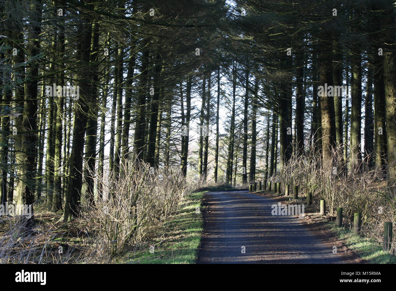 Lancashire and The Forest Of Bowland Stock Photo Alamy