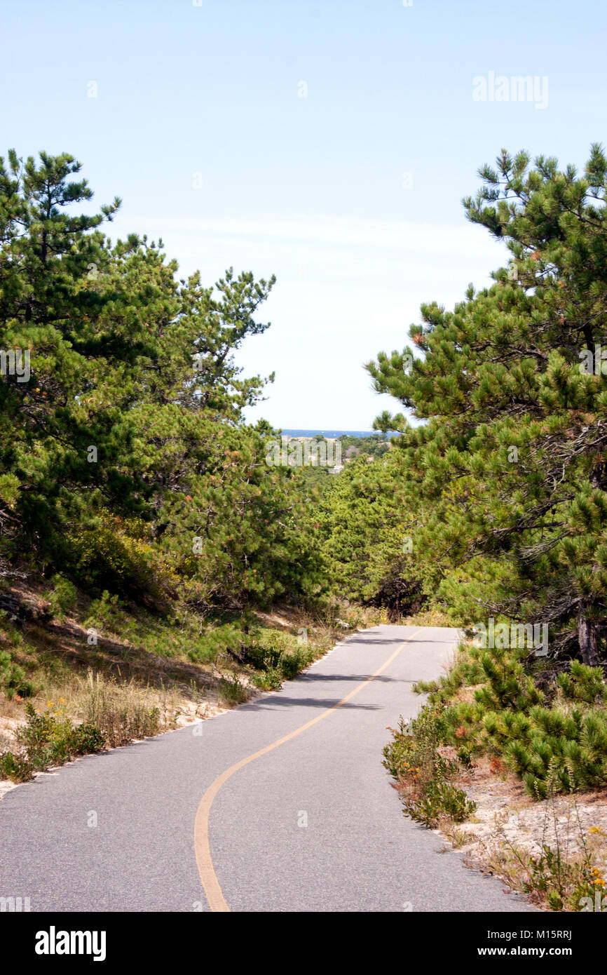 Cape Cod Province Lands Bike Trail with a view of the Atlantic Ocean