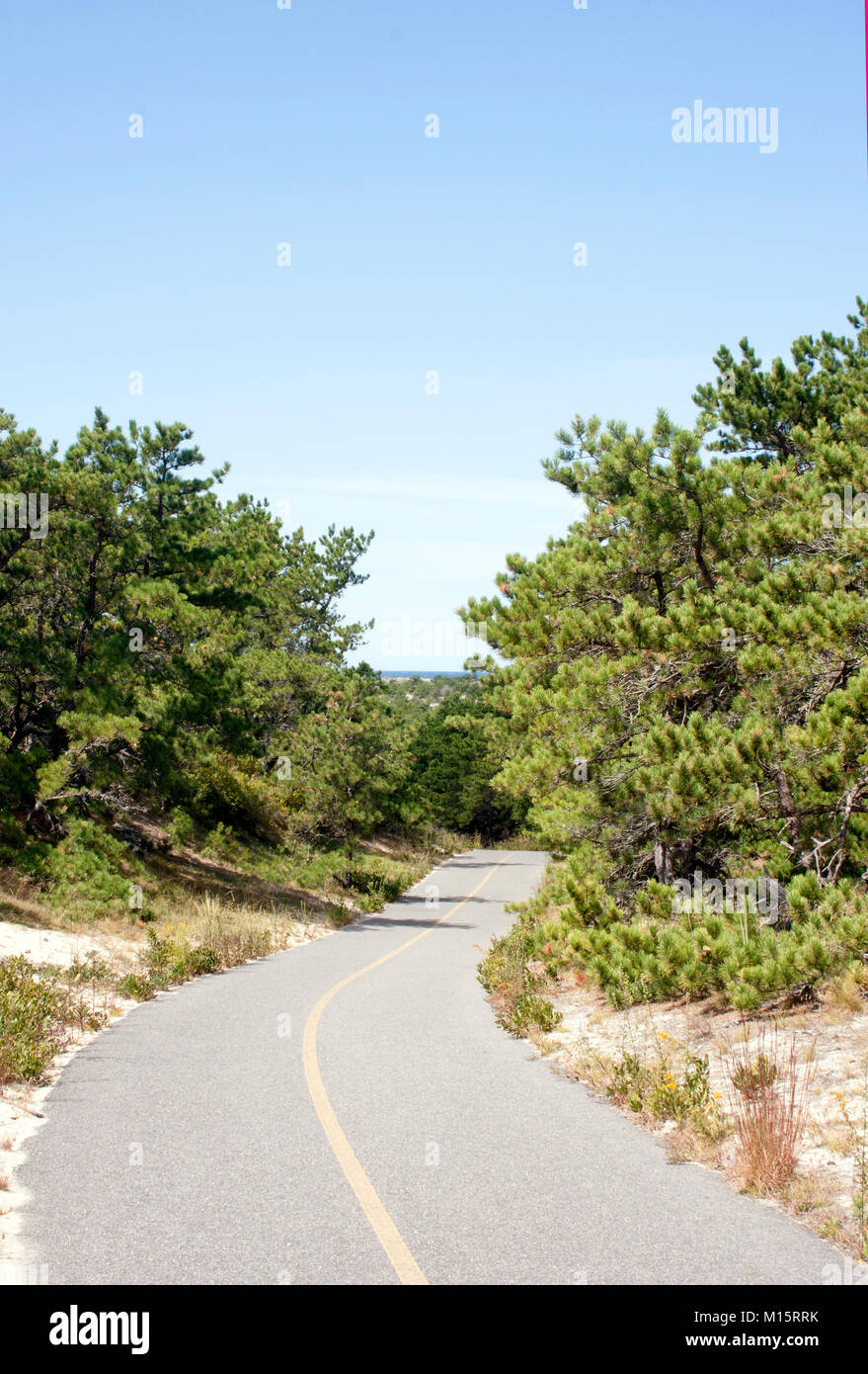 Cape Cod Province Lands Bike Trail with a view of the Atlantic Ocean through trees Stock Photo