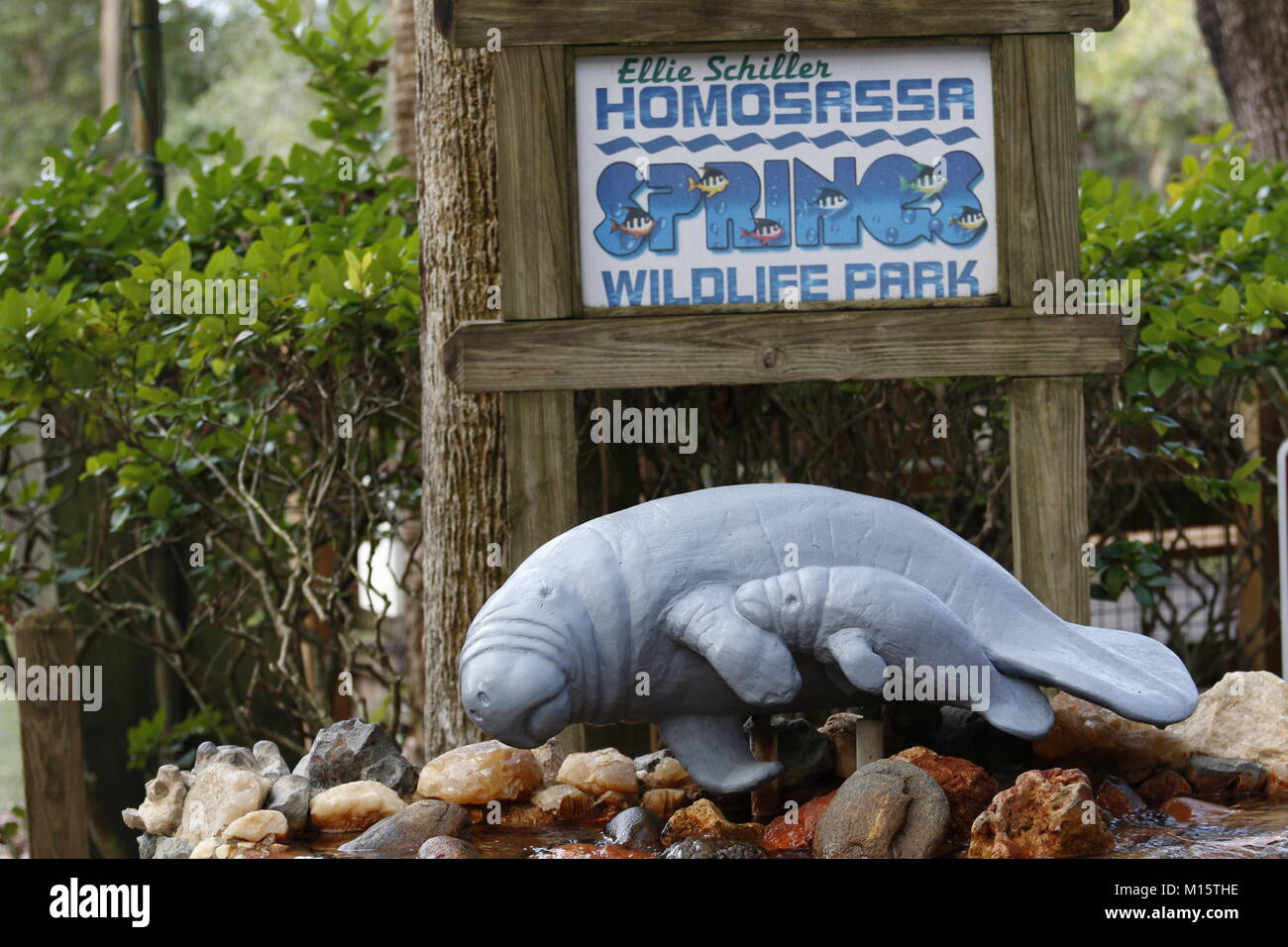 A sculpture of a Manatee with a calf at the entrance to the Ellie Schiller Homosassa Springs Wildlife State Park. Stock Photo