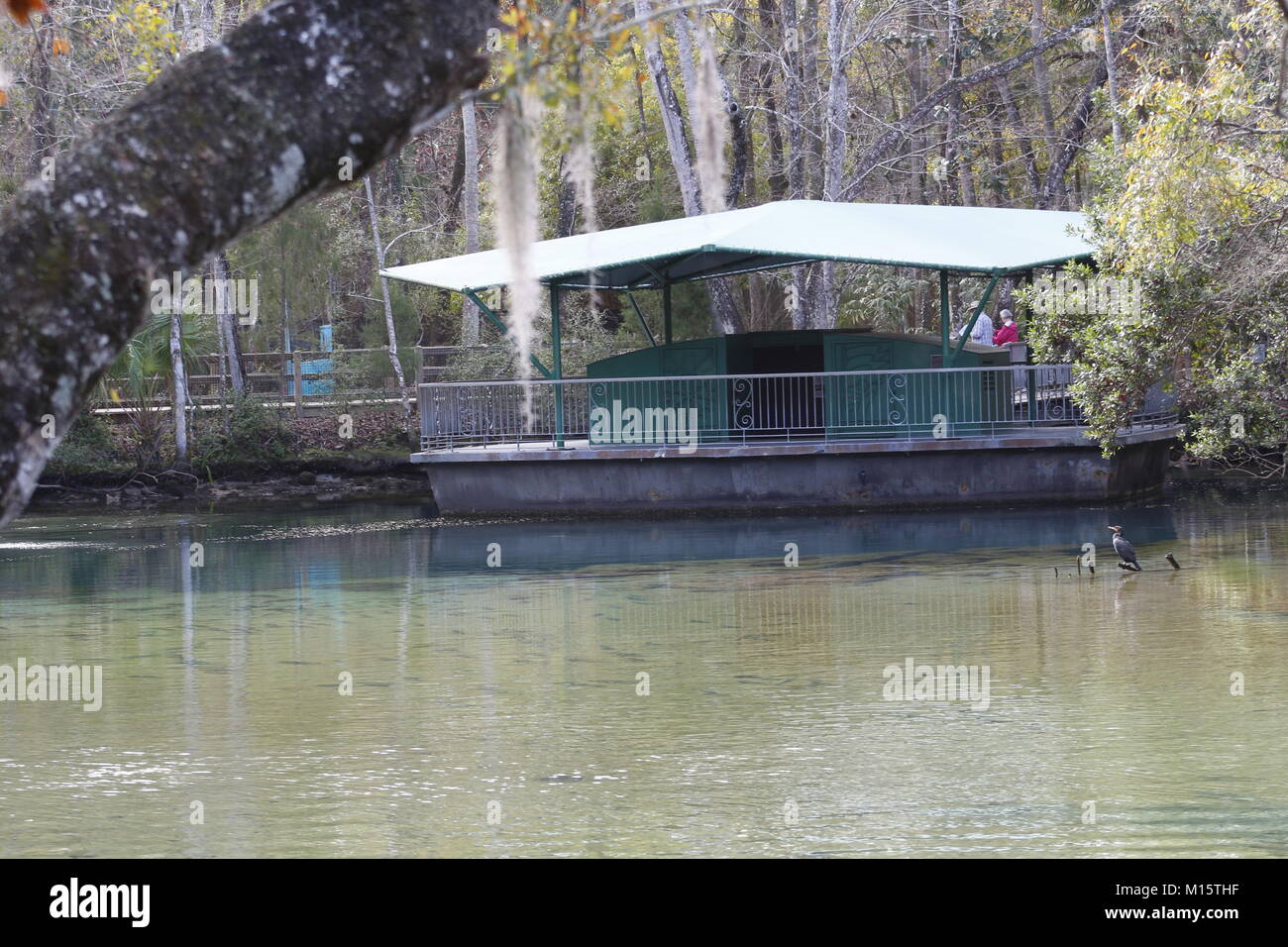 Underwater viewing chamber at the Ellie Schiller Homosassa Springs Wildlife State Park, Florida. Stock Photo