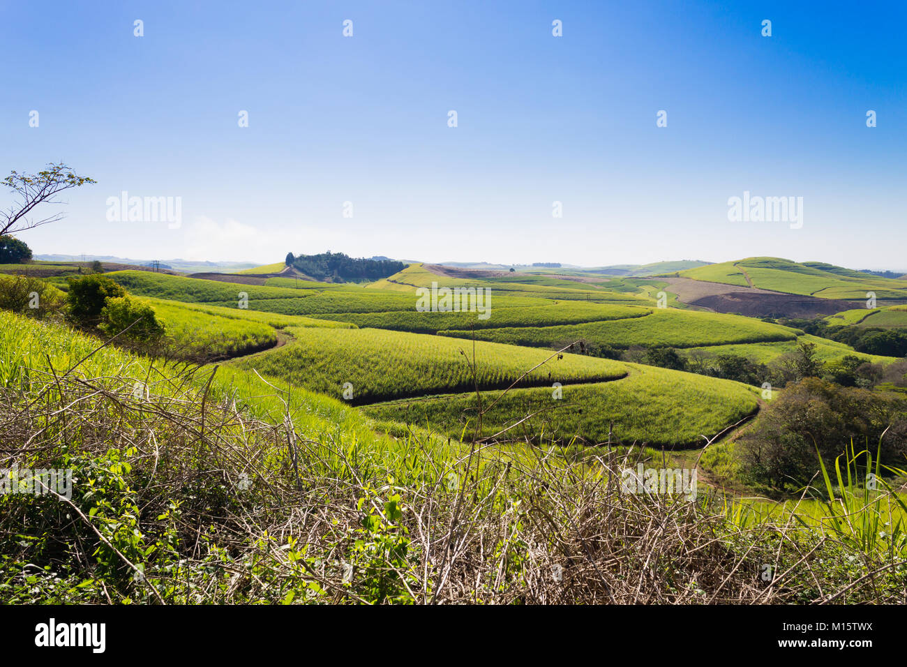 Valley of a Thousand hills landscape. Green hills panorama. South