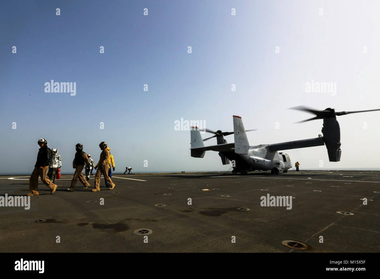 U s marine corps forces special operations command hi-res stock ...
