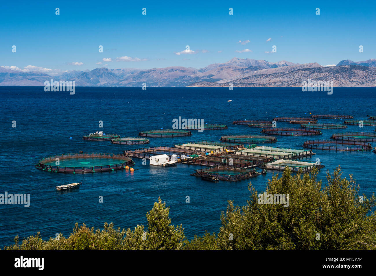 Fishfarm in Kassiopi,Corfu,Ionian Islands,Greece Stock Photo