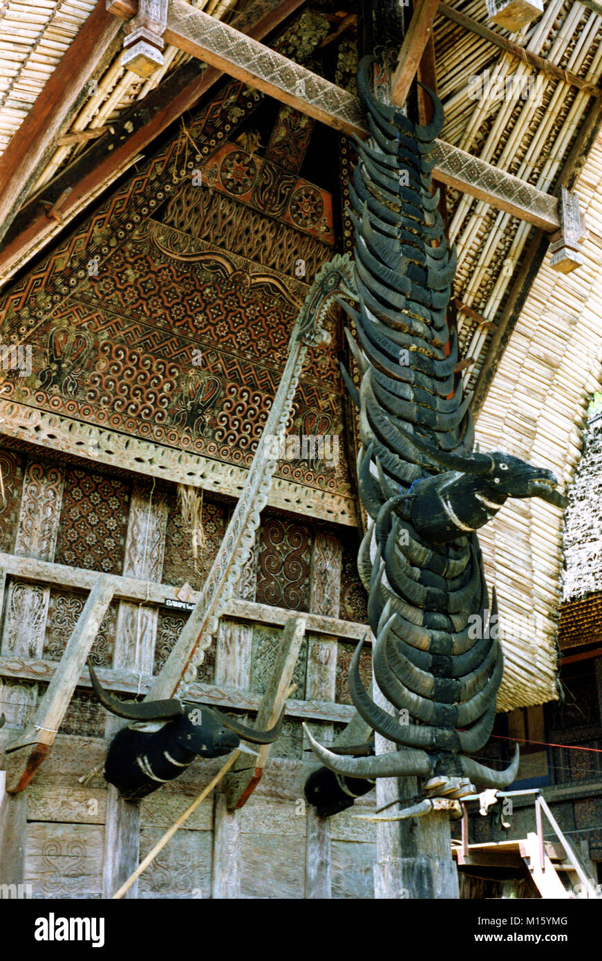 Buffalo horns decorate the eaves of a tongkonan or traditional Toraja house, South Sulawesi, eastern Indonesia. 1988 archival image Stock Photo