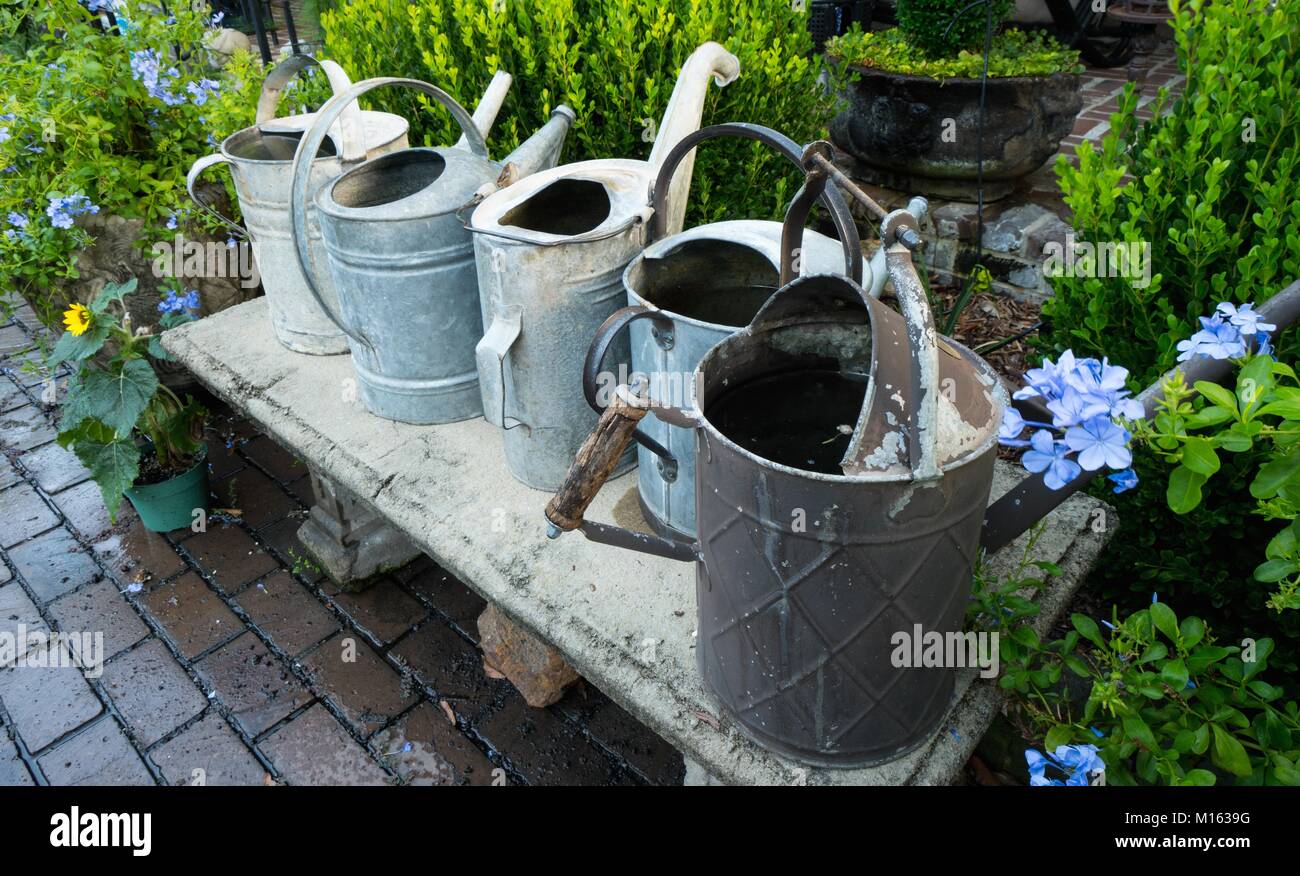 a collection of old metal watering cans for gardening Stock Photo