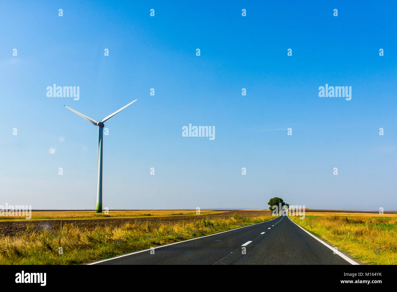 Windmills beside the road for renewable energy production from alternative energy sources like wind power Stock Photo
