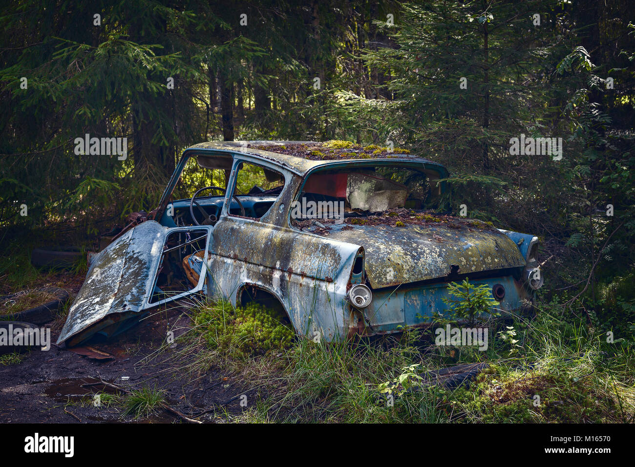 Wrecked abandoned car in the forest. Stock Photo