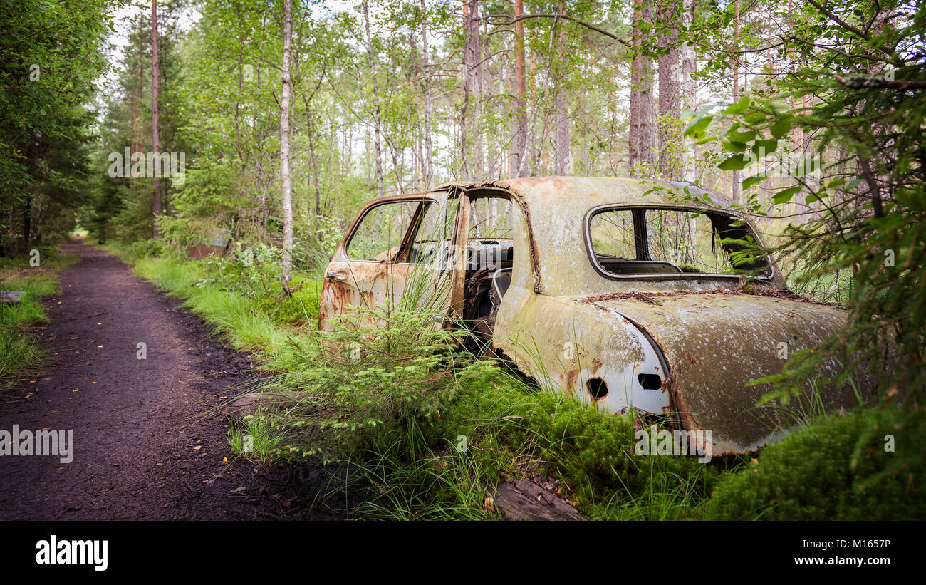 Old abandoned car in the forest Stock Photo - Alamy