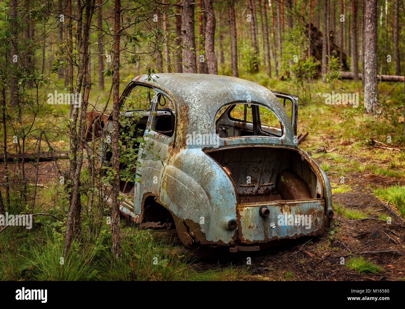 Old car in the woods hi-res stock photography and images - Alamy