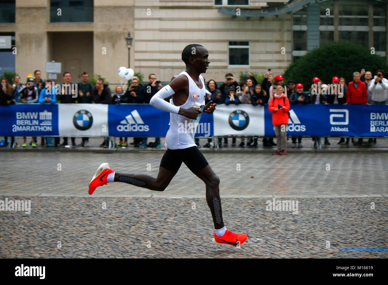 download kipchoge vo2max download kipchoge vo2max