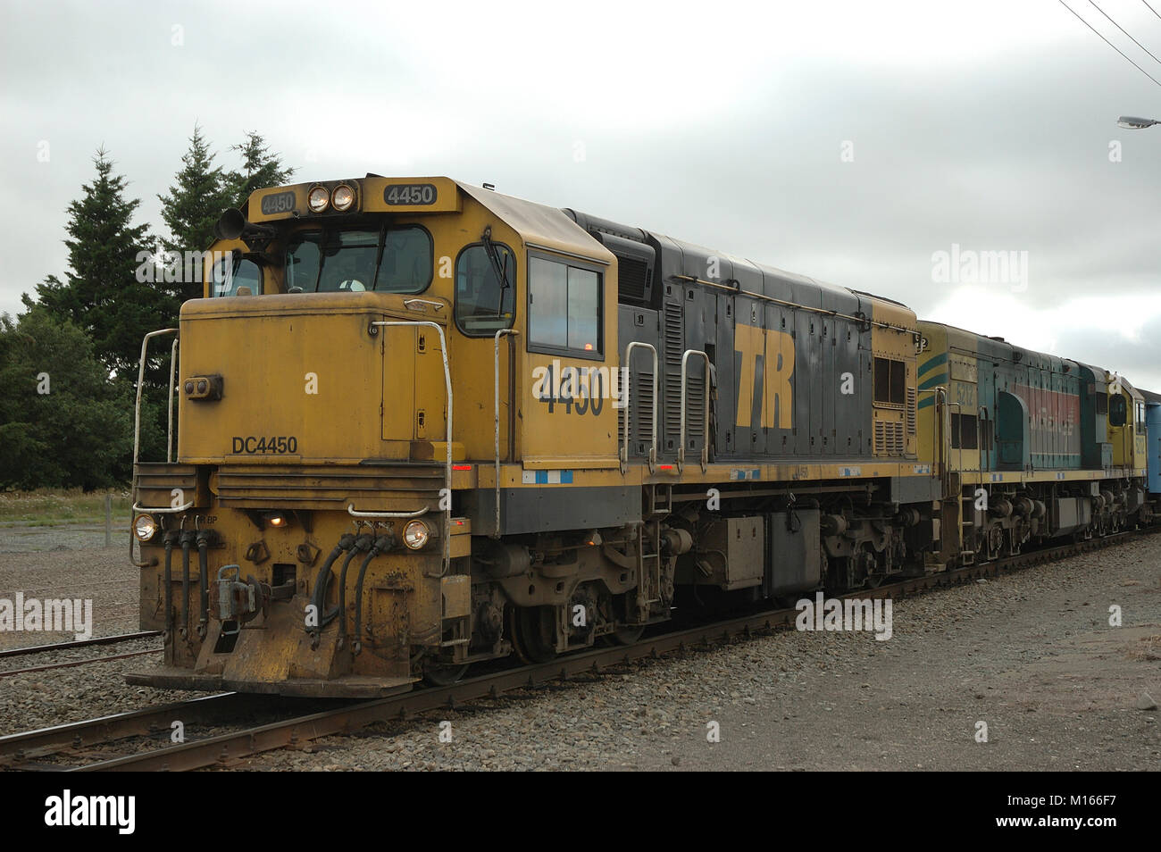 Two diesel engines that pull the TranzAlpine Train over the Southern Alps from Christchurch to Greymouth via Arthur's Pass, New Zealand. Springfield R Stock Photo