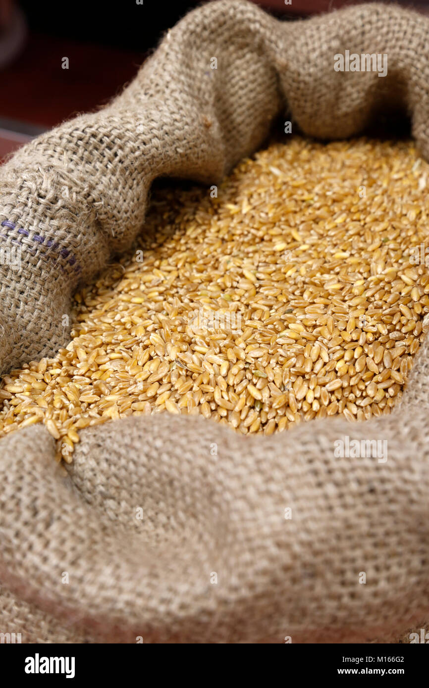 Sack of Durum Wheat; Farm Shop; Cornwall; UK Stock Photo