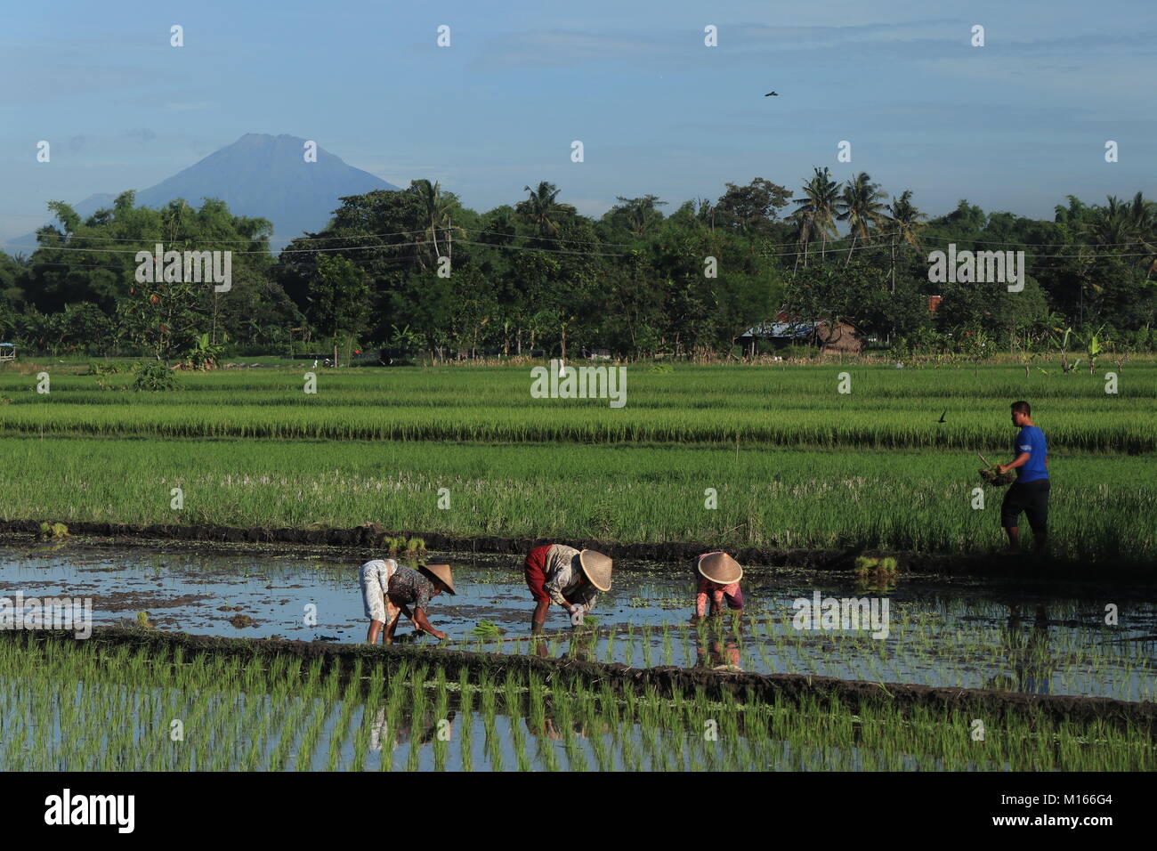 Farmer village hi-res stock photography and images - Alamy