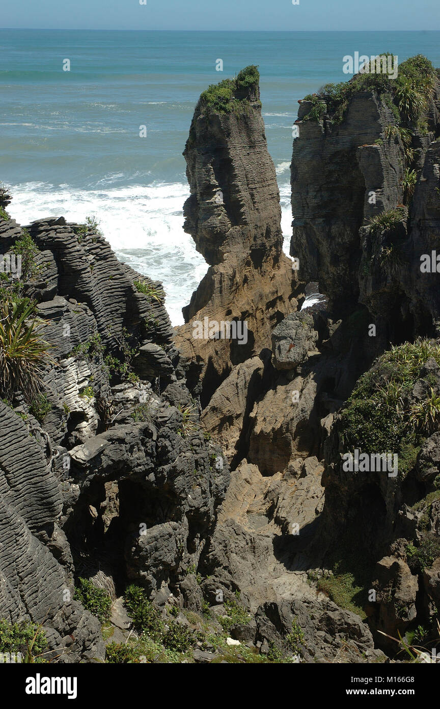 Punakaiki Pancake Rocks; Paparoa National Park;  New Zealand Flax,   Greymouth;  New Zealand; NZ. Layered rock formations; Limestone rocks; geology; P Stock Photo