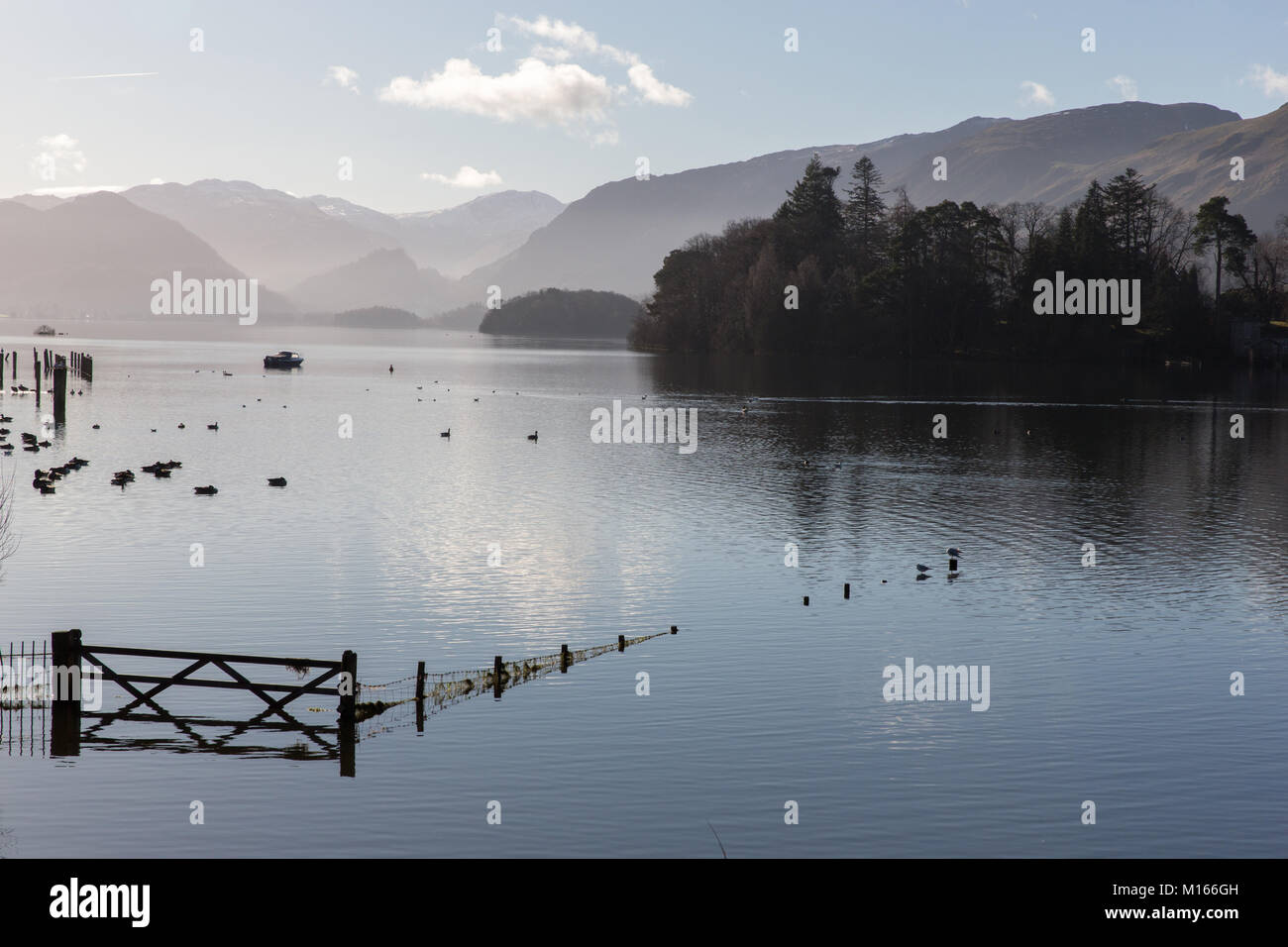 A flooded field on the banks of Derwent Water near Keswick after heavy rains Stock Photo